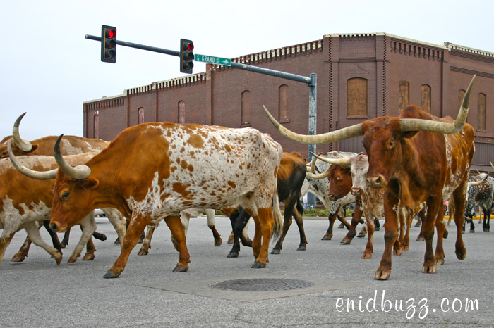 Downtown Enid Parade Cherokee Strip Parade in Enid, Ok
