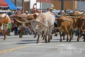 Cherokee Strip Parade Enid