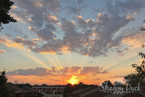 Another Enid Sunrise
