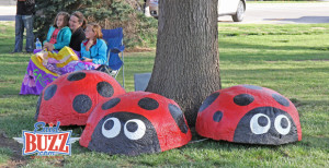 Ladybug Invasion Enid