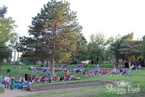 Shakespeare In The Park Enid