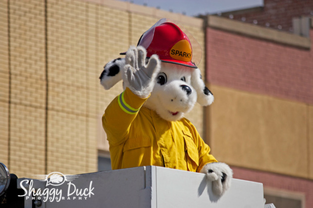 sparky