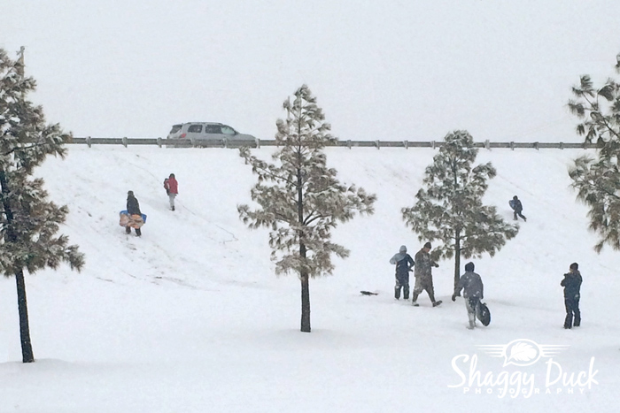Sledding on overpass in Enid