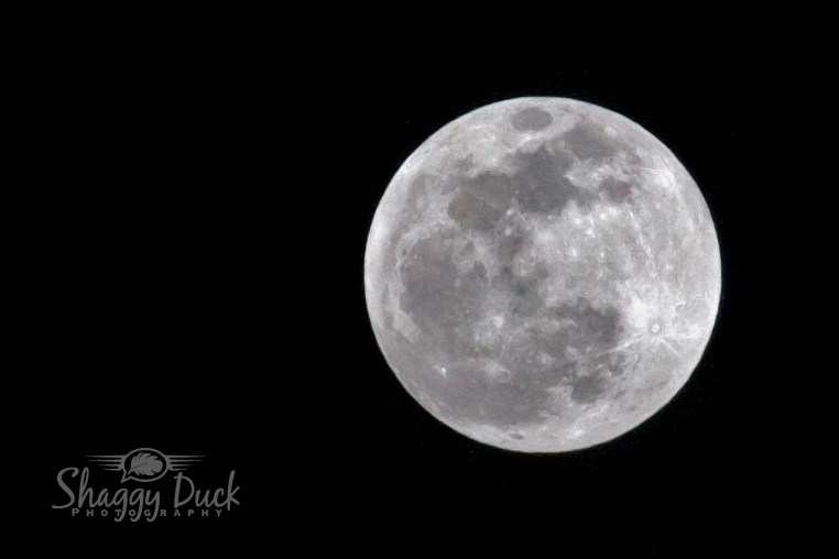Enid Full Moon 2015