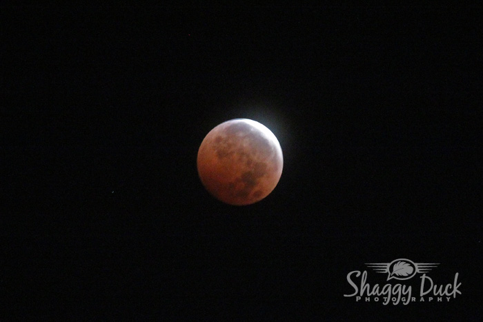 lunar-eclipse=2014