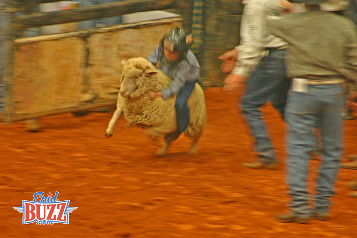 mutton bustin