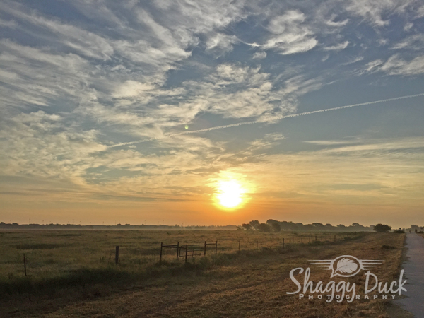 a-road-less-traveled