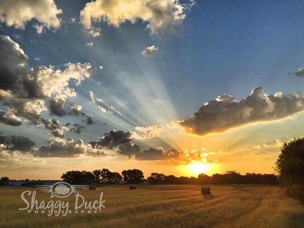 sunrise-wheat-bale