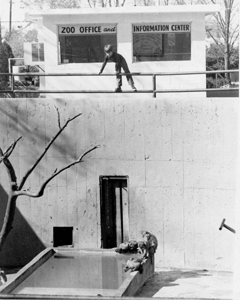 Yes Virginia, Enid Had A Zoo Enid Buzz