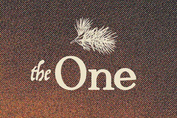 The One Christmas Tree