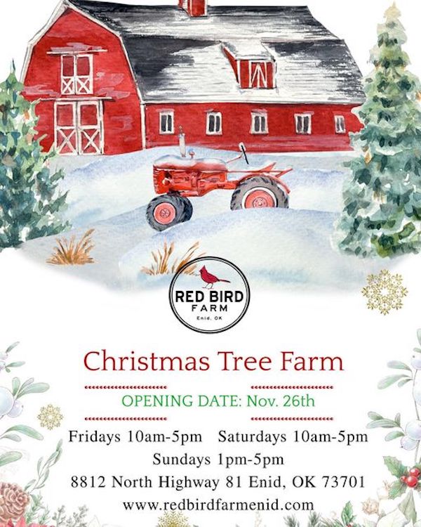 Christmas At The Farm Enid Buzz