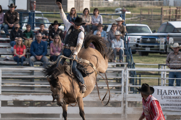 Rodeo